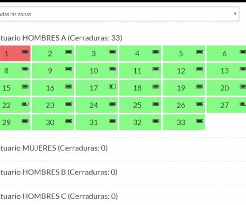 Software iVIEW for lockers