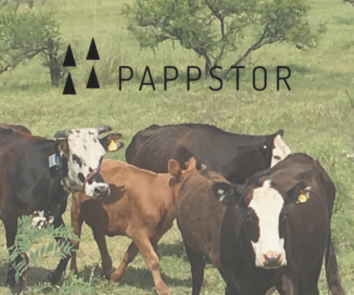 Pappstor